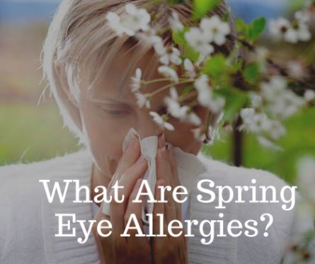 What are spring allergies?